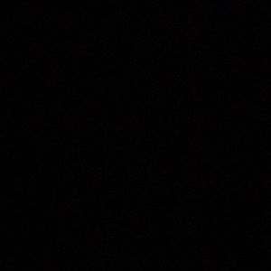 Meet your Posher, Ella